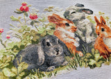 Riolis 1416 - Funny Rabbits - Counted Cross Stitch Kit 15 X 9 Zweigart 14 Ct. White Aida 24 Colors
