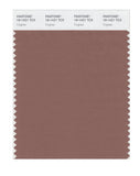 PANTONE Smart 18-1421X Color Swatch Card, Cognac