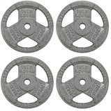 Fitvids Cast Iron Plate Weight Plate for Strength Training and Weightlifting, 1-Inch Center, 10LB (Set of 4)