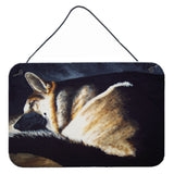 Caroline'S Treasures Day Dreamer German Shepherd Wall Or Door Hanging Prints Amb1042Ds812, 8H X 12W, Multicolor