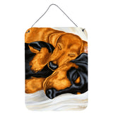 Caroline'S Treasures Dachshund Snuggles Wall Or Door Hanging Prints Amb1110Ds1216, 16Hx12W, Multicolor