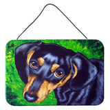 Caroline'S Treasures Tootsie Dachshund Wall Or Door Hanging Prints Amb1173Ds812, 8H X 12W, Multicolor
