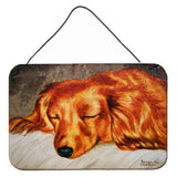Caroline'S Treasures Red Longhaired Dachshund Wall Or Door Hanging Prints Amb1202Ds812, 8H X 12W, Multicolor