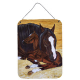 Caroline'S Treasures Bay Mare Foal Horse Wall Or Door Hanging Prints Amb1236Ds1216, 16Hx12W, Multicolor