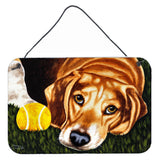 Caroline'S Treasures Have Ball Will Travel Beagle Wall Or Door Hanging Prints Amb1358Ds812, 8 H X 12 W, Multicolor
