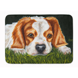 Caroline'S Treasures Cavalier Spaniel In The Grass Floor Mat, 19 X 27, Multicolor