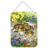 Caroline'S Treasures Mallard Duck Chicks Wall Or Door Hanging Prints Asa2020Ds1216, 16Hx12W, Multicolor
