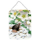 Caroline'S Treasures Mole Wall Or Door Hanging Prints Asa2031Ds1216, 16Hx12W, Multicolor