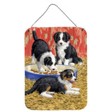 Caroline'S Treasures Border Collie Pups Wall Or Door Hanging Prints Asa2079Ds1216, 16Hx12W, Multicolor