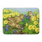 Caroline'S Treasures Pheasant Chicks Floor Mat, 19 X 27, Multicolor