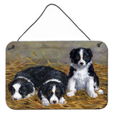 Caroline'S Treasures Border Collie Puppies Wall Or Door Hanging Prints Asa2196Ds812, 8Hx12W, Multicolor