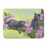 Caroline'S Treasures Chartruex Kittens Floor Mat, 19 X 27, Multicolor