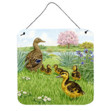 Caroline'S Treasures Mallard And Ducklings By Sarah Adams Wall Or Door Hanging Prints Asad0693Ds66, 6Hx6W, Multicolor