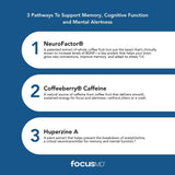 Scimera MD® Focus MD Brain Supplement with Nootropic Organic Coffeeberry, Huperzine A for Memory, Focus, and Energy, 30 CT