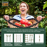 5' or 6' Monster Plant Support! Custom Trellis & Tomato Cage Kit - The All Purpose Heavy Lifter