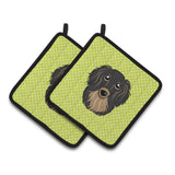 Caroline'S Treasures Checkerboard Lime Green Longhair Black & Tan Dachshund Pair Of Pot Holders Bb1275Pthd, 7.5Hx7.5W, Multico