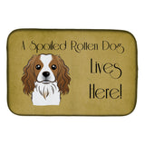 Caroline'S Treasures Cavalier Spaniel Spoiled Dog Lives Here Dish Drying Mat, 14 X 21