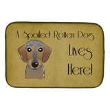 Caroline'S Treasures Wirehaired Dachshund Spoiled Dog Lives Here Dish Drying Mat, 14 X 21