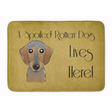 Caroline'S Treasures Wirehaired Dachshund Spoiled Dog Floor Mat, 19 X 27, Multicolor