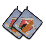 Caroline'S Treasures Dog House Collection Irish Setter Pair Of Pot Holders Bb2818Pthd, 7.5Hx7.5W, Multicolor