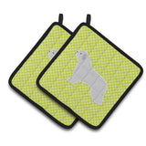 Caroline'S Treasures Spanish Water Dog Checkerboard Green Pair Of Pot Holders Bb3815Pthd, 7.5Hx7.5W, Multicolor