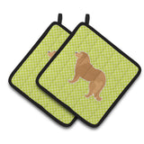 Caroline'S Treasures Caucasian Shepherd Dog Checkerboard Green Pair Of Pot Holders Bb3825Pthd, 7.5Hx7.5W, Multicolor