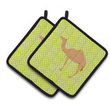 Caroline'S Treasures Arabian Camel Dromedary Green Decorated Pot Holder, 7.5 X 7.5