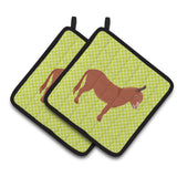 Caroline'S Treasures Irish Donkey Green Decorated Pot Holder, 7.5 X 7.5
