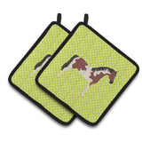 Caroline'S Treasures Pinto Horse Green Decorated Pot Holder, 7.5 X 7.5