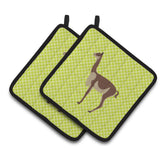 Caroline'S Treasures Vicugna Or Vicuna Green Decorated Pot Holder, 7.5 X 7.5