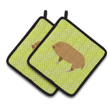 Caroline'S Treasures Hungarian Mangalica Pig Green Decorated Pot Holder, 7.5 X 7.5