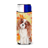 Caroline'S Treasures Blenheim Cavalier Spaniel Fall Decorative Can Hugger, Slim, Multicolor