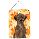 Caroline'S Treasures Chocolate Labrador Fall Metal Print, 16 X 12, Multicolor