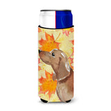 Caroline'S Treasures Red Tan Dachshund Fall Decorative Can Hugger, Slim, Multicolor