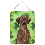 Caroline'S Treasures Chocolate Labrador St. Patrick'S Metal Print, 16 X 12, Multicolor