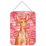 Caroline'S Treasures Pharaoh Hound Love Metal Print, 16 X 12, Multicolor