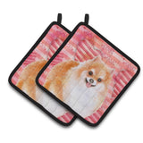 Caroline'S Treasures Pomeranian #2 Decorated Pot Holder, 7.5H X 7.5W, Love Is A Dog