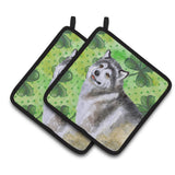 Caroline'S Treasures Alaskan Malamute Decorated Pot Holder, 7.5H X 7.5W, St Patrick'S Day