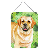 Caroline'S Treasures Golden Retriever St Patrick'S Metal Print, 16 X 12, Multicolor