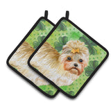 Caroline'S Treasures Morkie Decorated Pot Holder, 7.5H X 7.5W, St Patrick'S Day