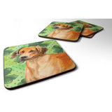 Caroline'S Treasures Rhodesian Ridgeback St Patrick'S Decorative Coasters, Multicolor