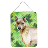 Caroline'S Treasures Thai Ridgeback St Patrick'S Metal Print, 16 X 12, Multicolor