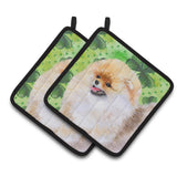 Caroline'S Treasures Pomeranian Decorated Pot Holder, 7.5H X 7.5W, St Patrick'S Day