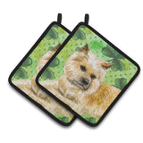Caroline'S Treasures Cairn Terrier Decorated Pot Holder, 7.5H X 7.5W, St Patrick'S Day