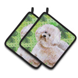 Caroline'S Treasures Bichon Frise #2 Decorated Pot Holder, 7.5H X 7.5W, St Patrick'S Day