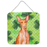Caroline'S Treasures Pharaoh Hound Metal Print, 6H X 6W, St Patrick'S Day
