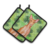 Caroline'S Treasures Pharaoh Hound Decorated Pot Holder, 7.5H X 7.5W, St Patrick'S Day