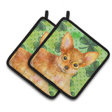 Caroline'S Treasures Toy Terrier Decorated Pot Holder, 7.5H X 7.5W, St Patrick'S Day