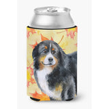 Caroline'S Treasures Bernese Mountain Dog Fall Decorative Can Hugger, Multicolor