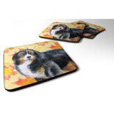 Caroline'S Treasures Bernese Mountain Dog Fall Decorative Coasters, Multicolor